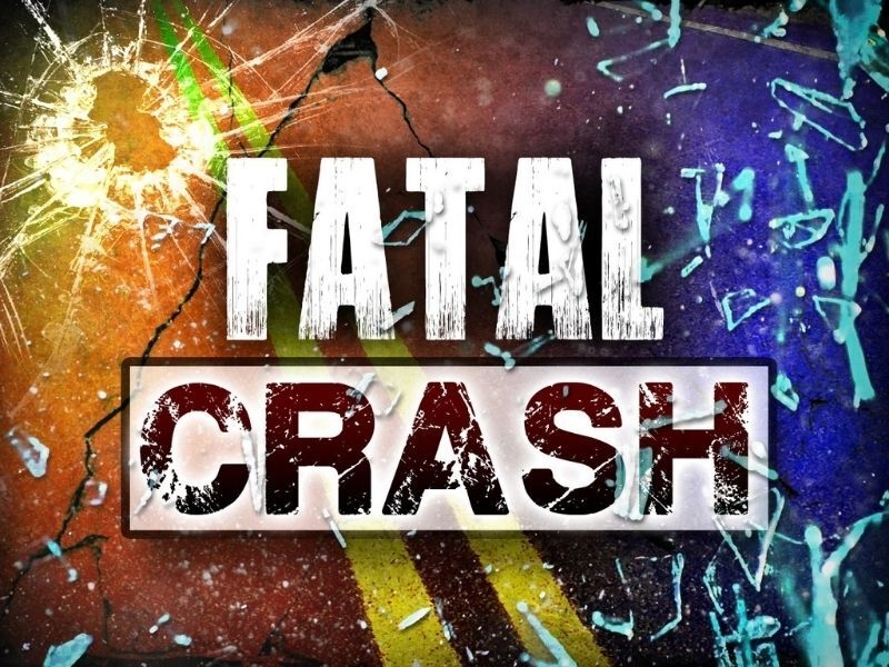 57-year-old man dies after hitting tree in Belvidere
