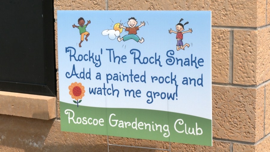 Rockton and Roscoe communities battle to create the longest rock snake