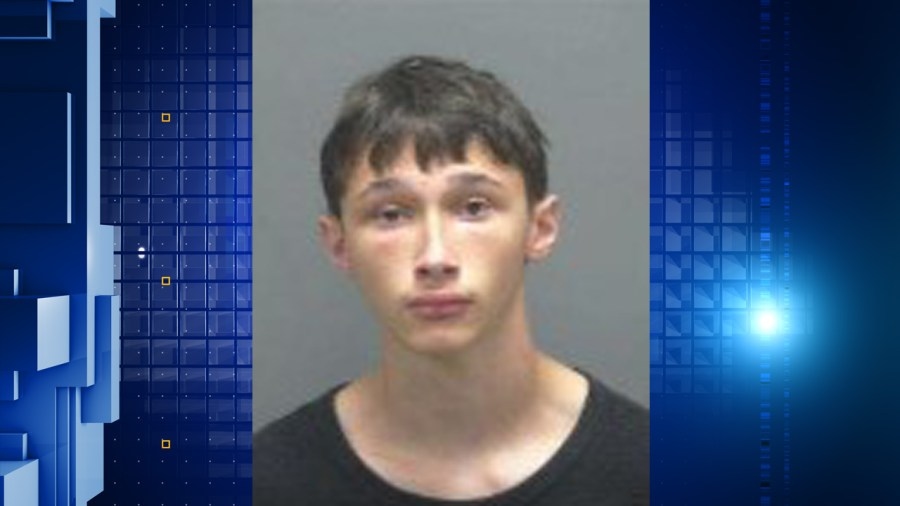 Beloit teen charged with 16 counts of possessing child porn