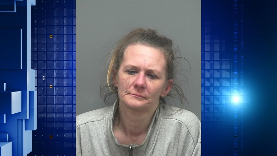 Janesville police arrest woman suspected of stealing gun from unlocked car