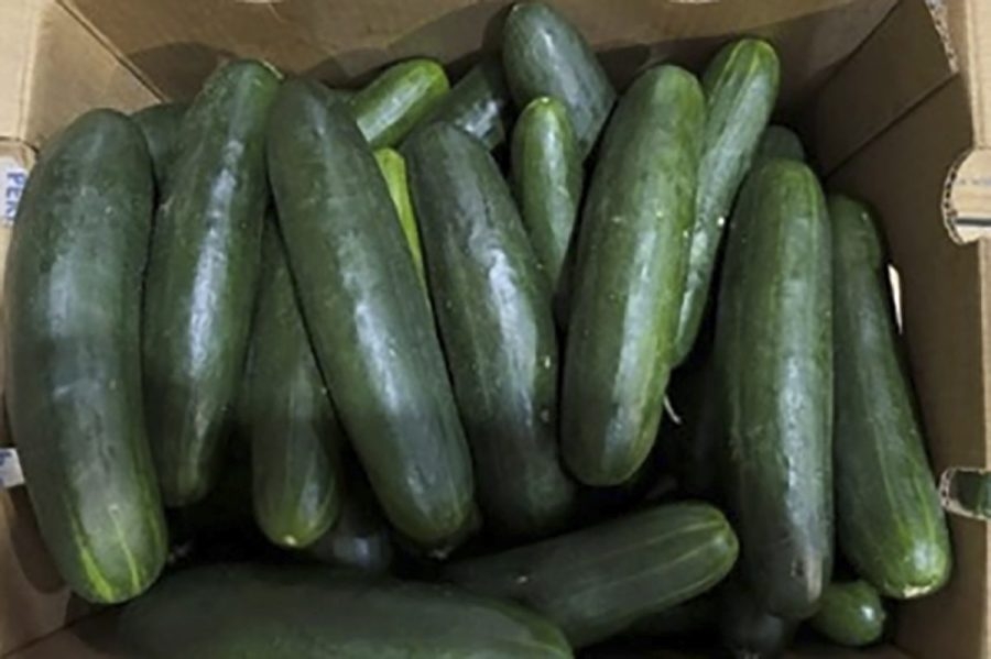 Salmonella outbreak expands after cucumber recall; dozens sick
