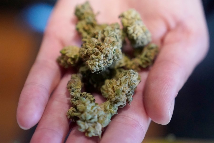 Illinois may ban police from using raw cannabis odor as cause for car searches
