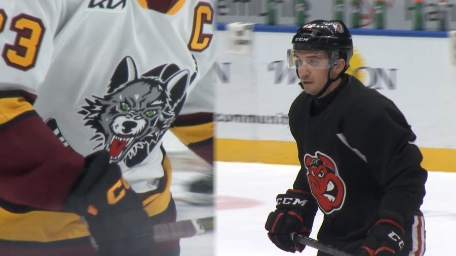 Rockford IceHogs preparing for playoff action against their biggest rivals, the Chicago Wolves