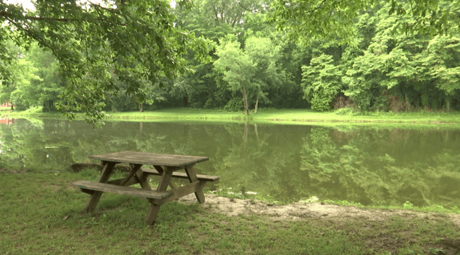 Many people took advantage of DNR's Free Fishing Days