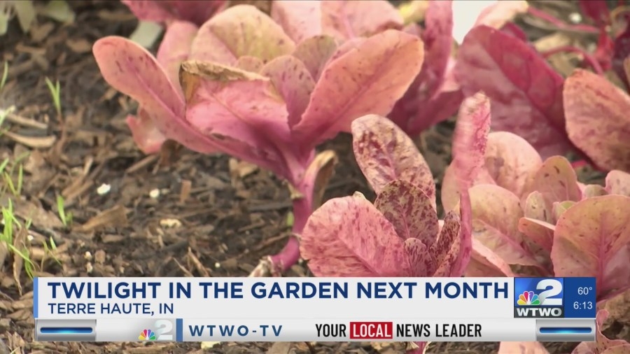 Twilight in the Garden event to be held in June