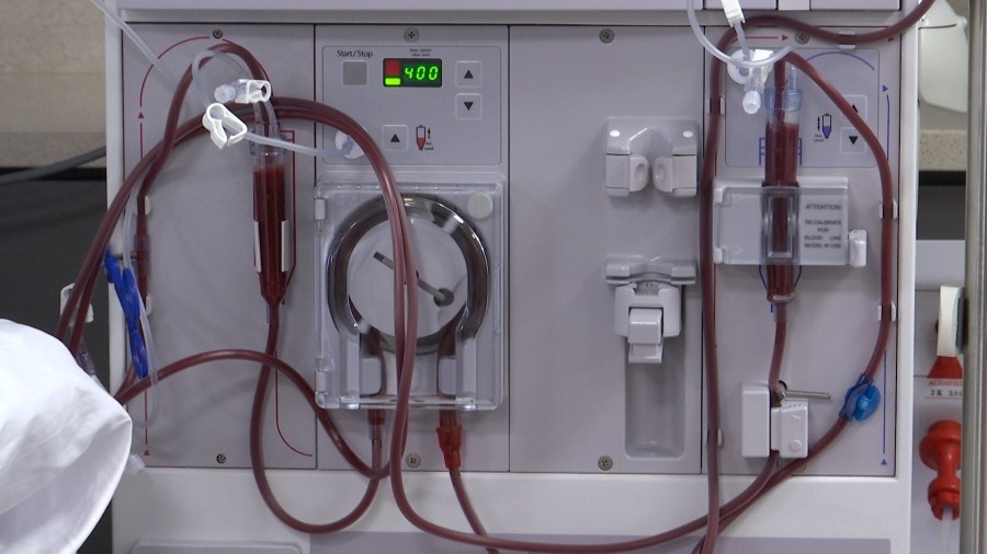 Specialists at Horizon Health speak on National Kidney Month