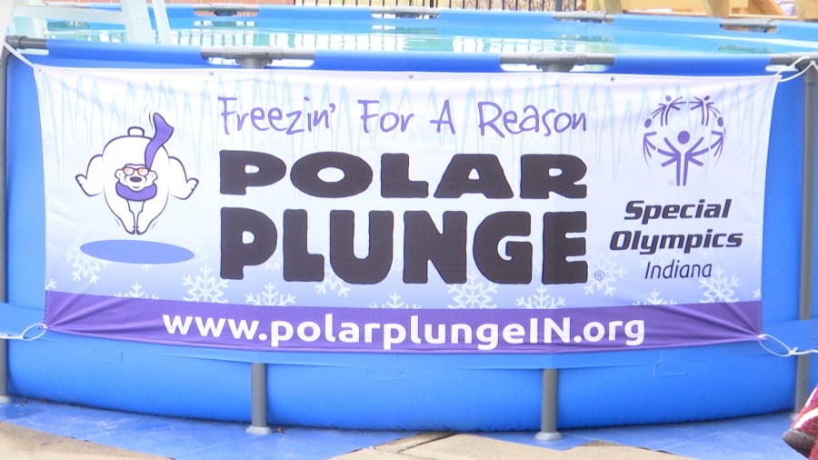 Polar Plunge is back again