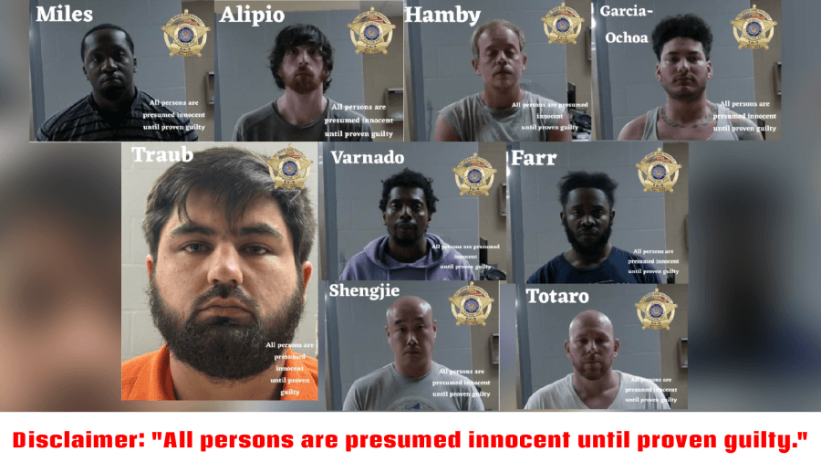 Livingston Parish deputies arrest 9 accused of internet crimes against children