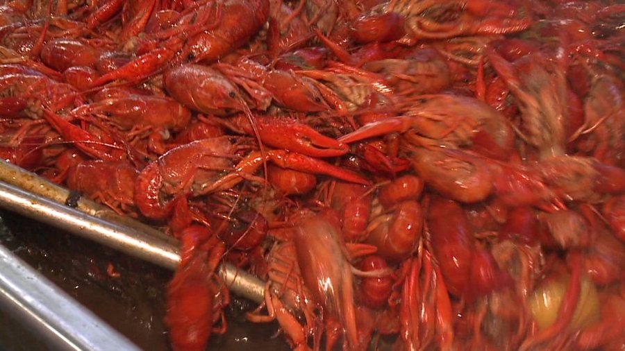 Louisiana crawfish prices go up for St. Patrick's Day weekend