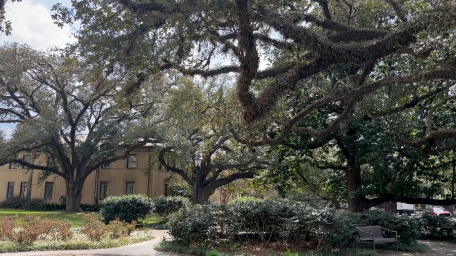Louisiana officials react after judge lets suspended LSU professor return to class