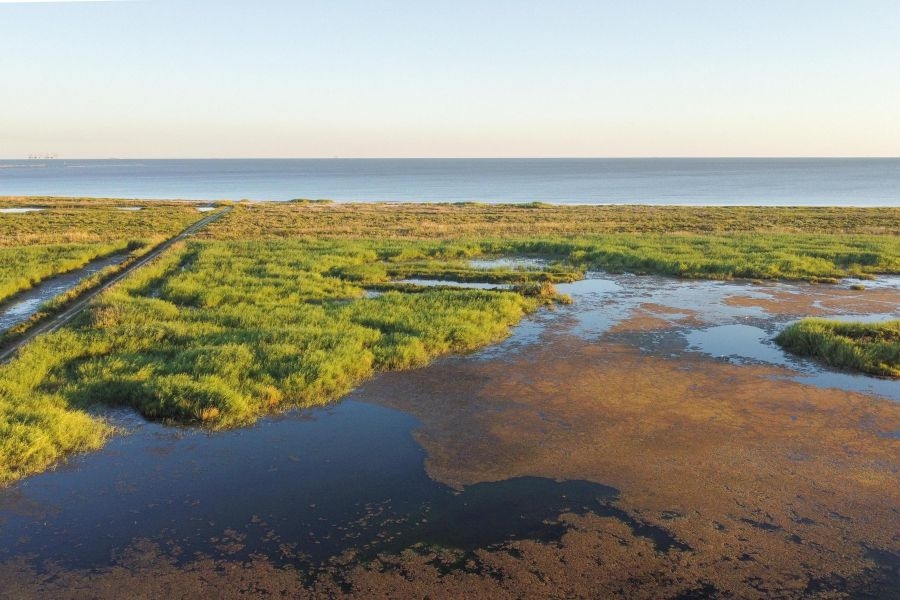 Land loss in Louisiana: The fight to preserve our coastline