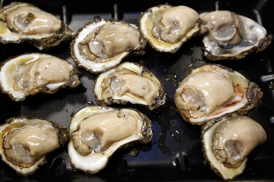 Louisiana recalls oysters after 15 people report norovirus-like illness: What to know