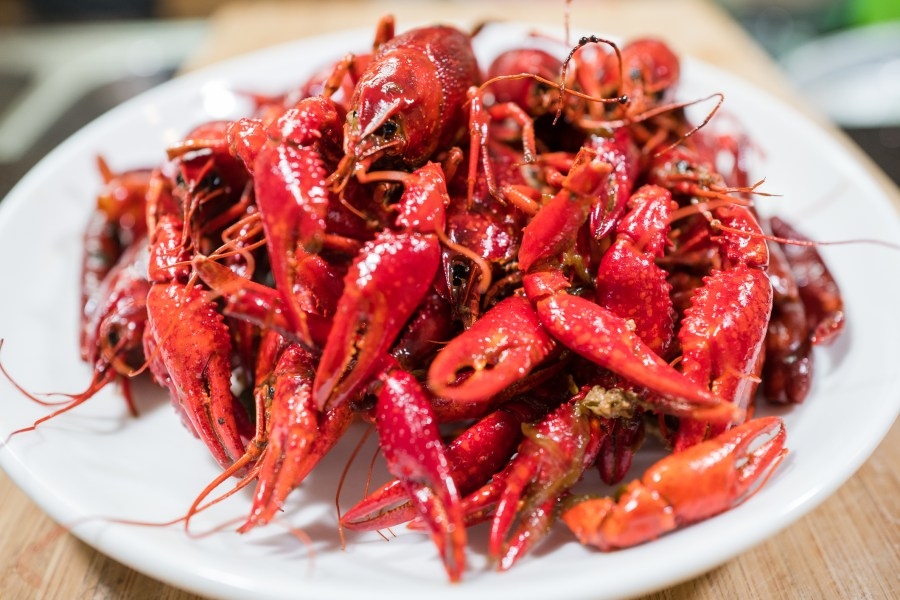 Louisiana crawfish prices: New season lows for 2025