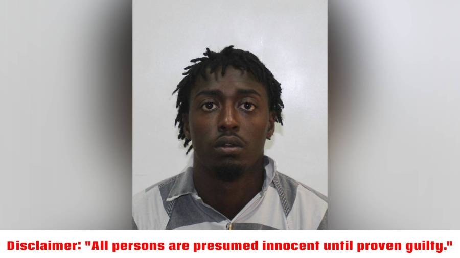 K-9 helps nab Louisiana man on drug and gun charges during traffic stop