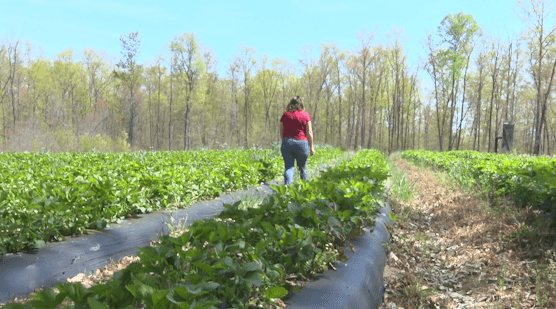 Farmers seeking answers regarding federal cuts and frozen funds