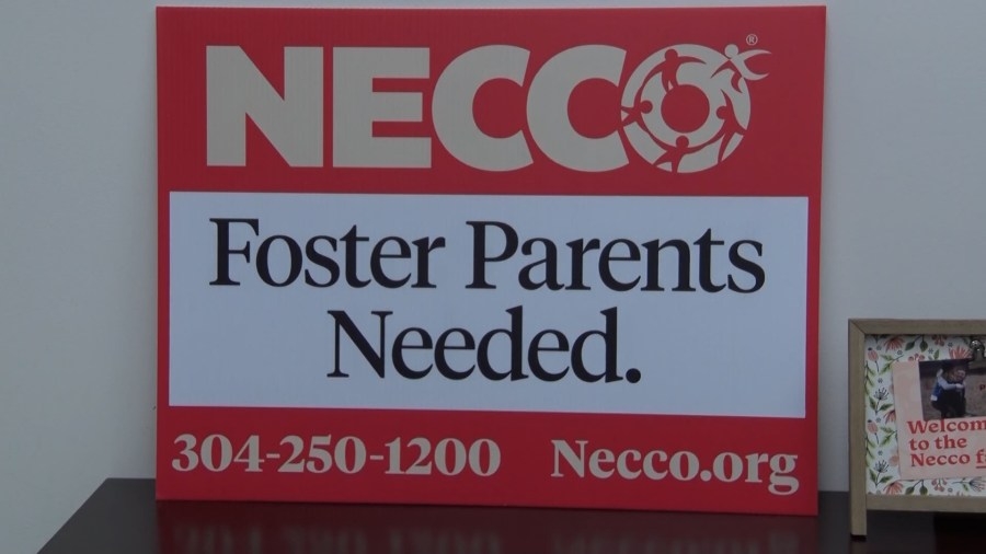 Lawmaker says public, private schools play a role in educating foster children in WV