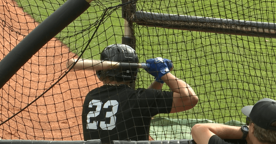Going to the ballpark? Knowing proper heat safety is important