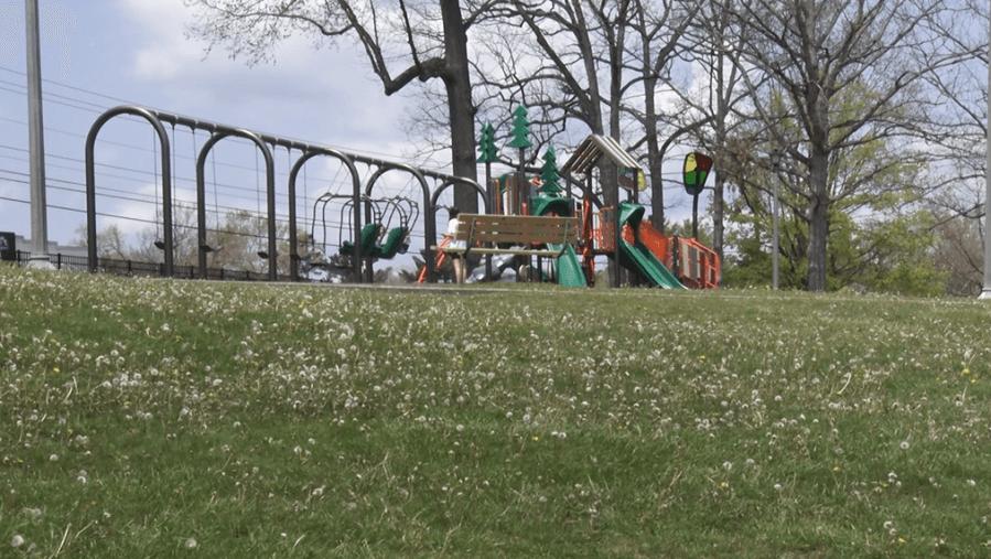 Attorney discusses privacy of local Autism and Special Needs Registry