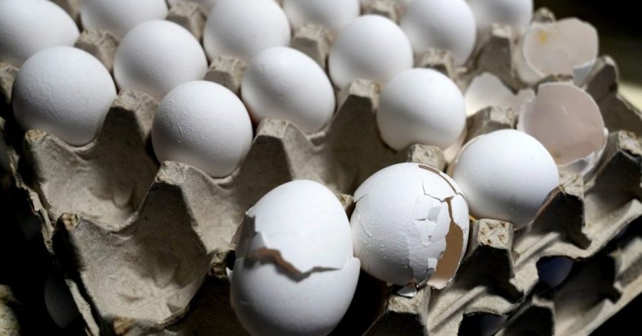 National Egg Day: Where to eat the best eggs in western Mass.