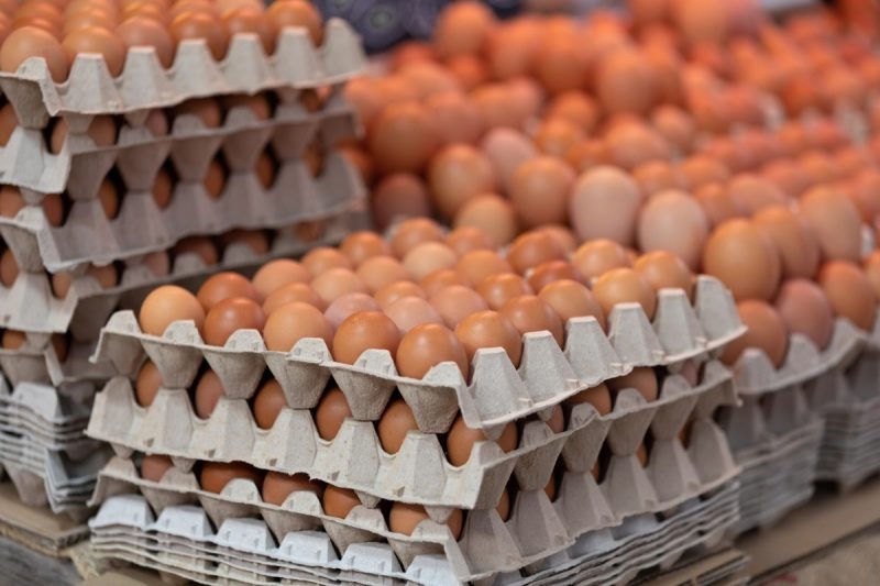 Egg Prices and Shortage Impact Local Businesses