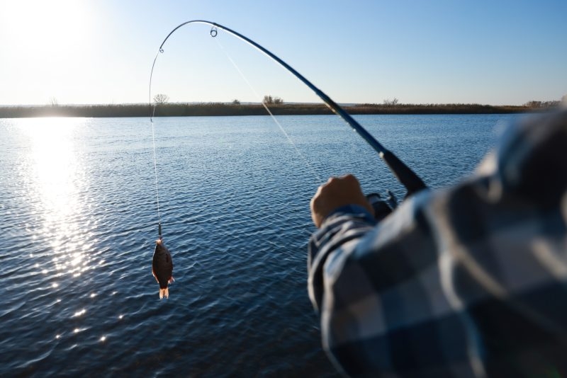 No license required during Free Freshwater Fishing Weekend in Mass.
