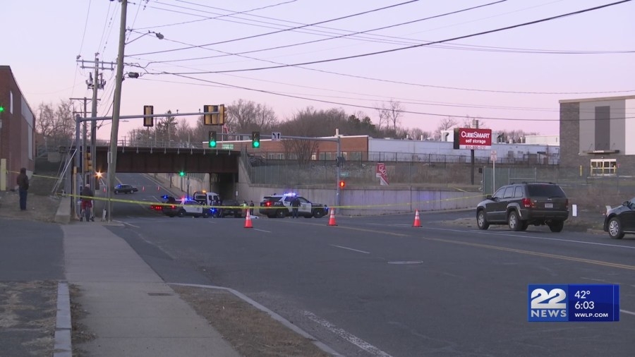 Springfield deadly hit-and-run suspect to face court on Tuesday