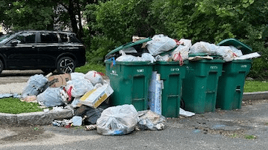 Piles of trash, furniture and uncut grass led citation sweep in Springfield
