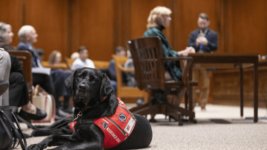 Proposed panel would consider service animal fraud penalties
