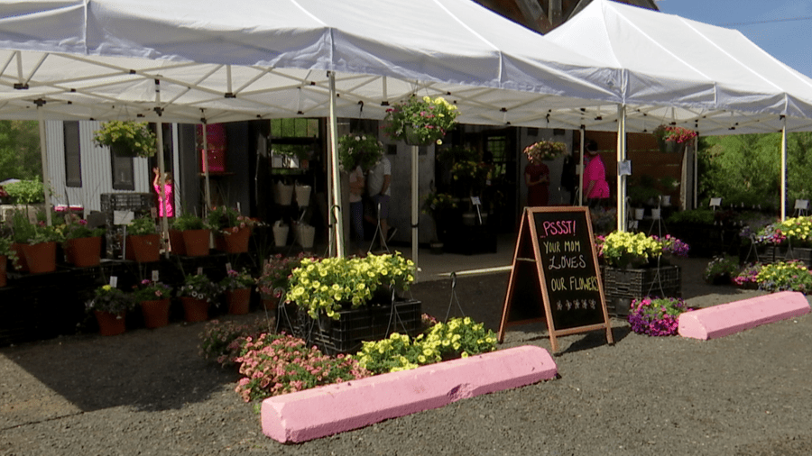 Rooted Flowers in Agawam hosts Mother's Day ‘Bloom and Brunch'