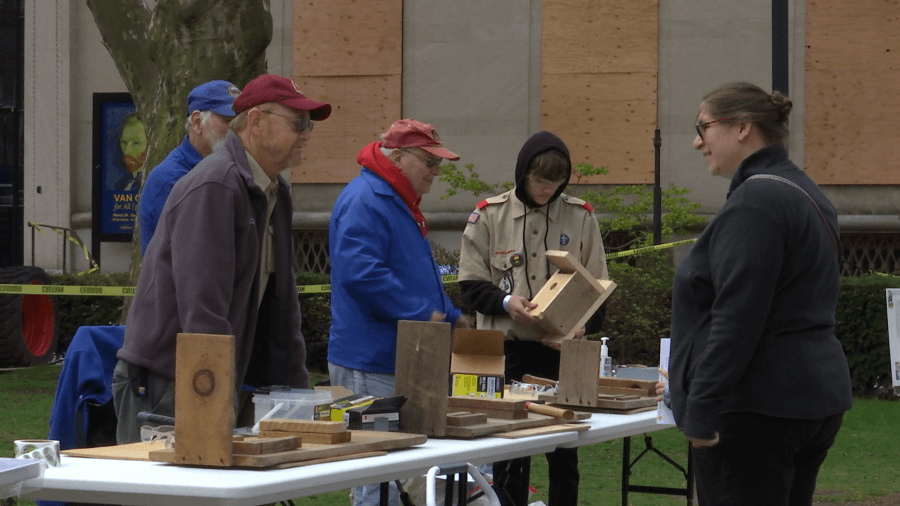 Springfield Museums celebrate Earth Day with eco-friendly education and activities