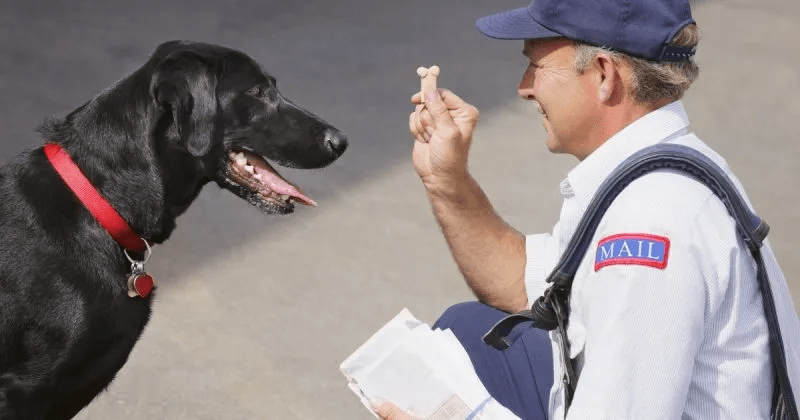 USPS starts campaign to reduce dog attacks on mail carriers
