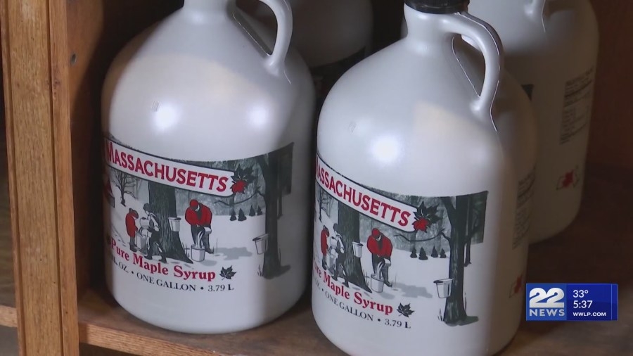 March declared 'Massachusetts Maple Month'