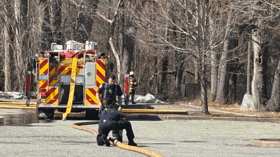 Brush fire put out on Riverdale Street in West Springfield
