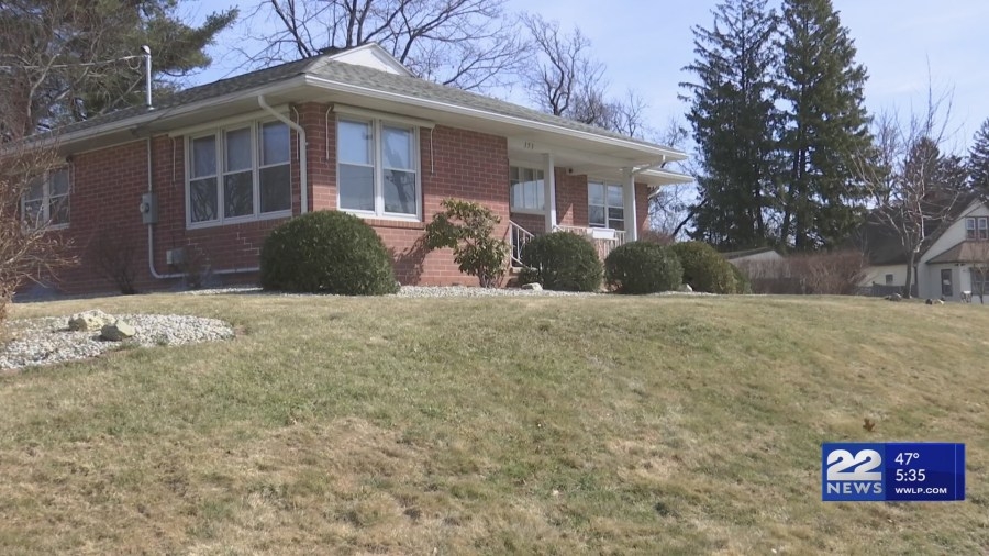 Do's and don'ts of spring lawn preparation