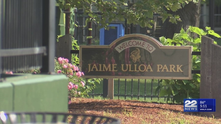 Springfield Park celebrates renovation with new patio