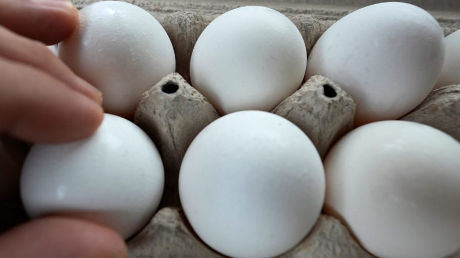 Egg prices fall for first time post-bird flu, yet remain high
