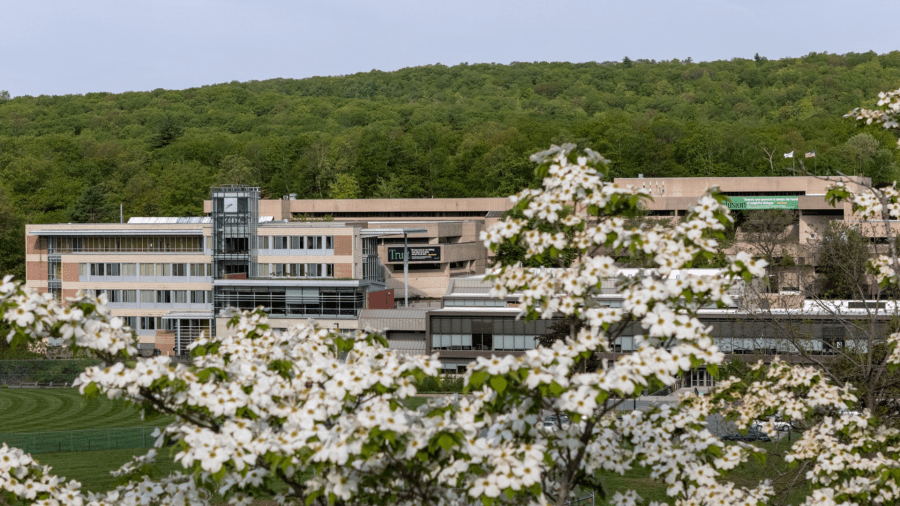 Holyoke Community College to offer free course in AI essentials