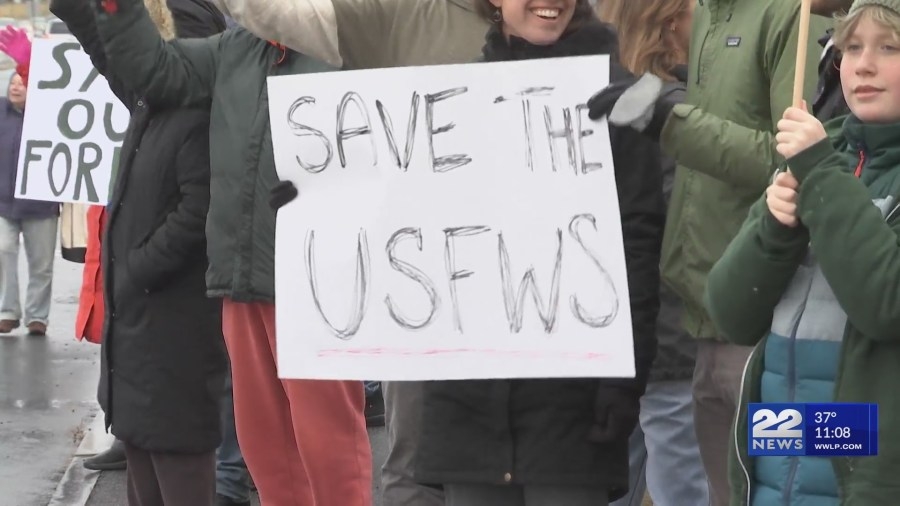 Protest held following the firings of 36 probationary employees at US Fish and Wildlife Northeast Service's Regional Headquarters in Hadley