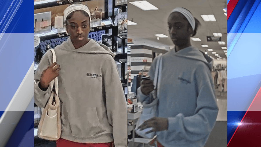 West Springfield Police seek help identifying shoplifting suspect