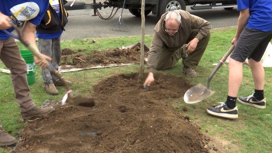 What is Arbor Day?