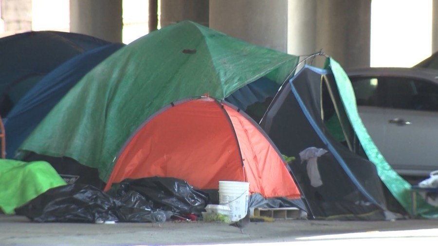 InFocus: Point-In-Time annual survey of unhoused persons in Massachusetts