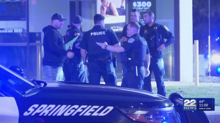 Springfield man faces motor vehicle charges after Ludlow police pursuit