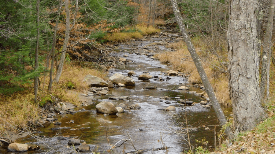 Worries fuel push to elevate water woes on policy agenda