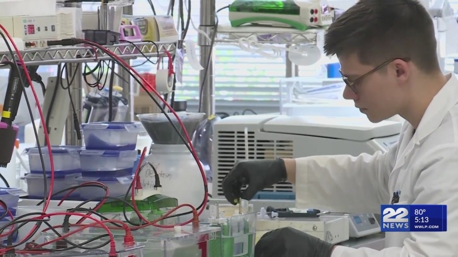 Life sciences sector growth slows in Mass.