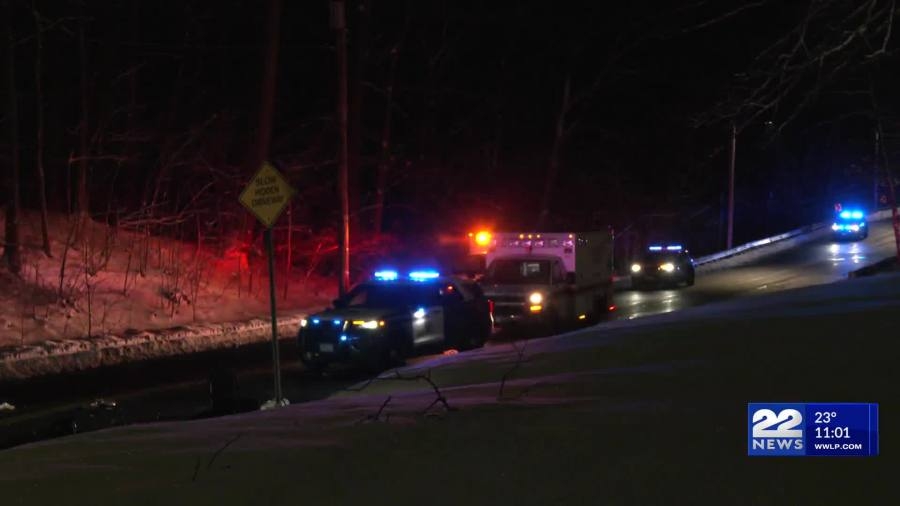 Woman struck and killed by vehicle in Chicopee identified