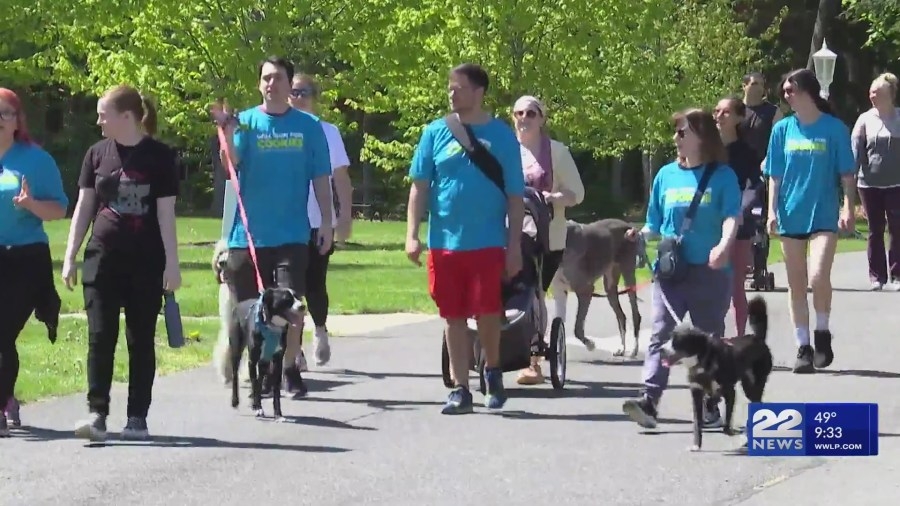 Dakin Humane Society hosts annual ‘Will Run for Cookies 5k'