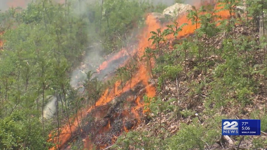 Controlled burn conducted in Ware for fire prevention