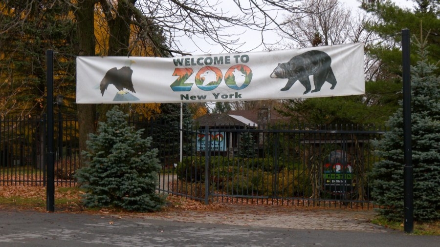 Zoo New York offers free day for military families and kids