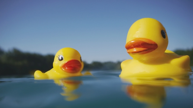 June 7: Dexter Duck Derby