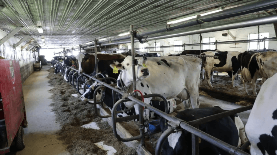 State hands out first round of dairy modernization grants